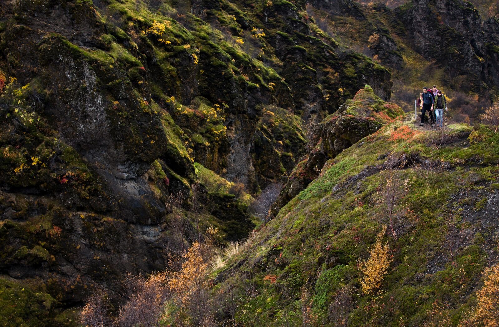 Þórsmörk Volcano Hike