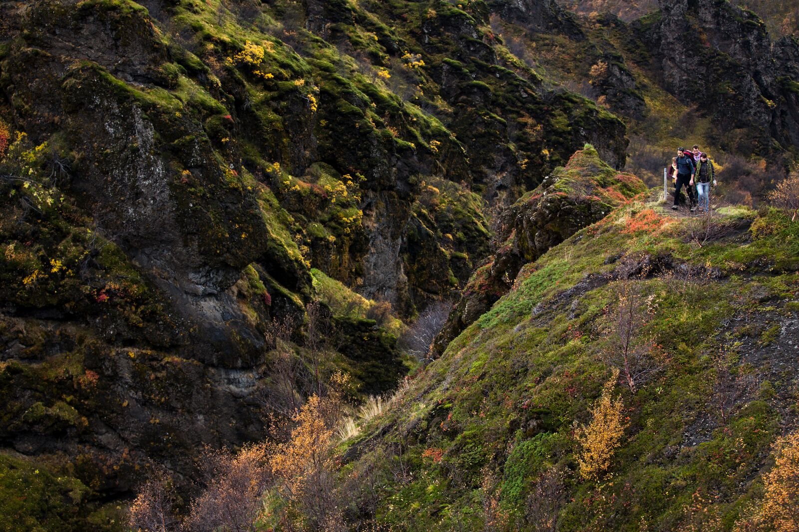 Þórsmörk Volcano Hike