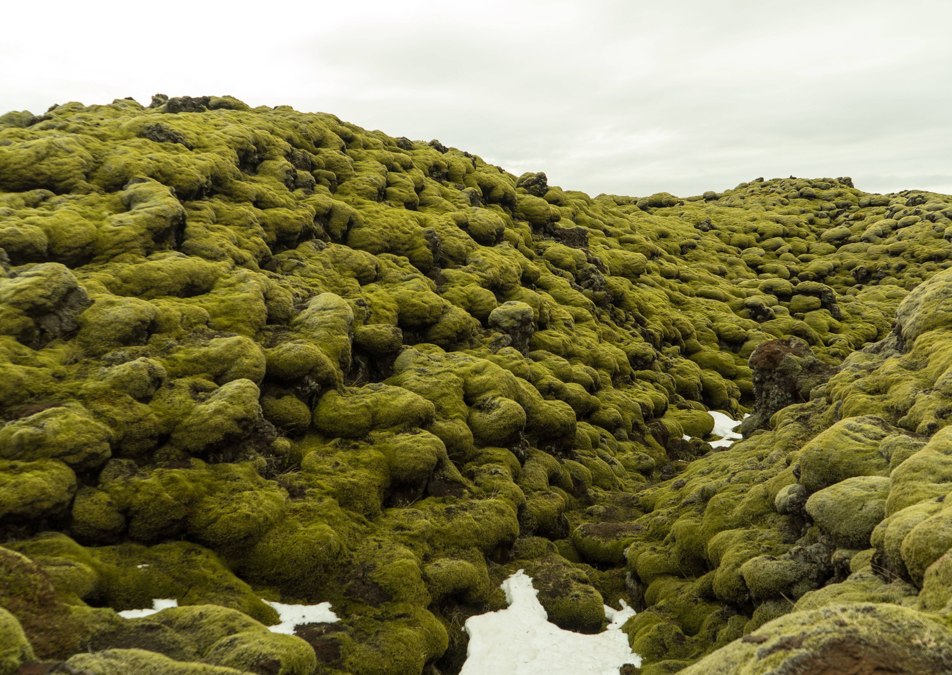  Eldhraun lava field