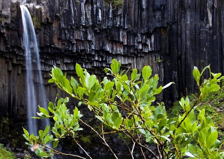 svartifoss waterfall south coast iceland