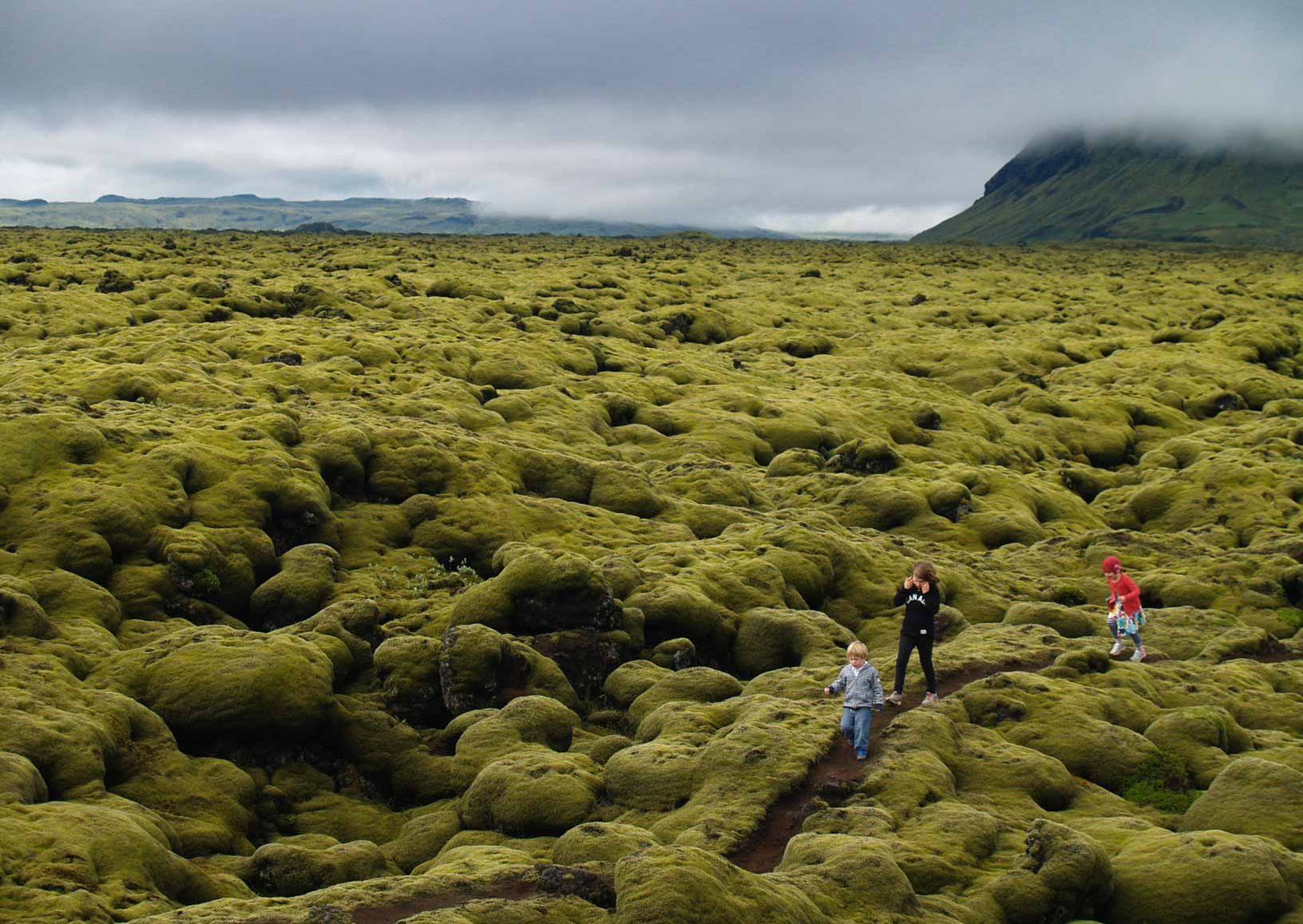 Eldhraun lava field