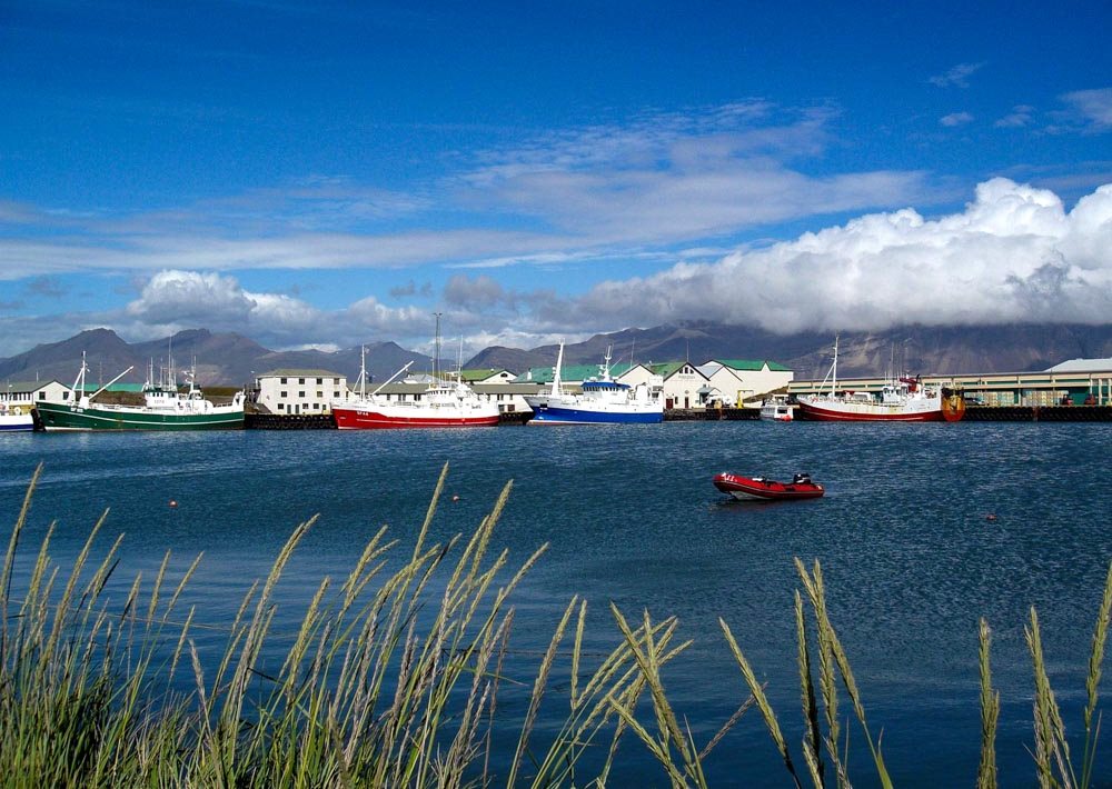 Höfn harbour