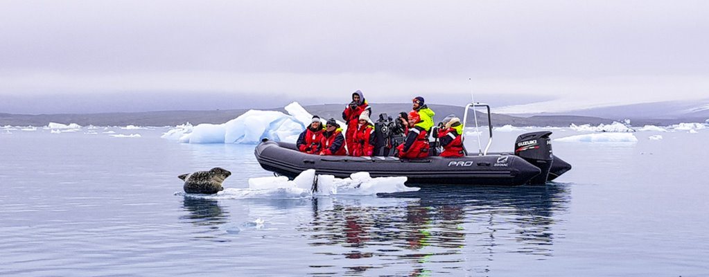 A Seal Relaxing In Jokulsarlon Glacier Lagoon Zodiac Boat Tour 