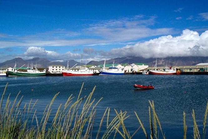 All about Höfn, the capital of South-East Iceland